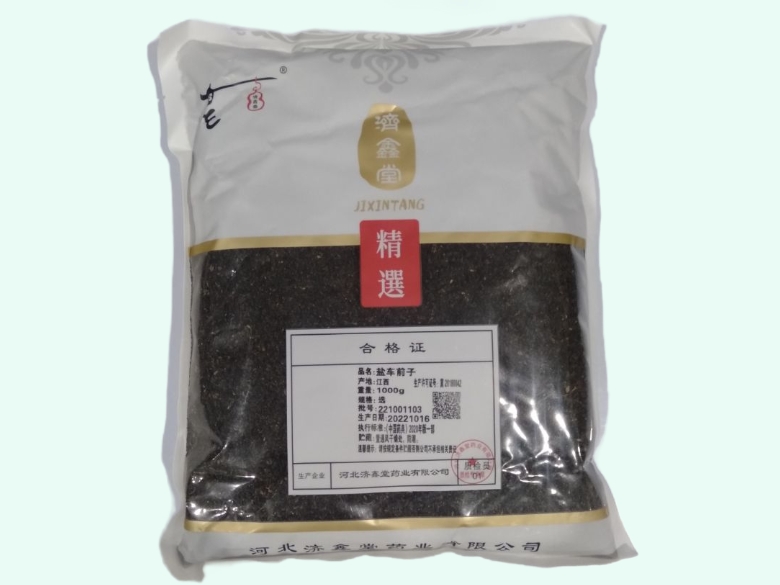 盐车前子