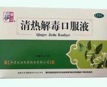 仲景清热解毒口服液价格对比 10支