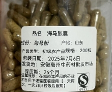 安徽亳州中药材批发市场的海马胶囊是真是假？