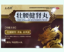 乐药师壮腰健肾丸价格对比 14丸 逢春