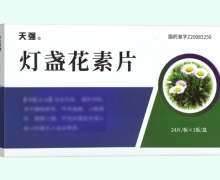 灯盏花素片价格对比 24片 天强