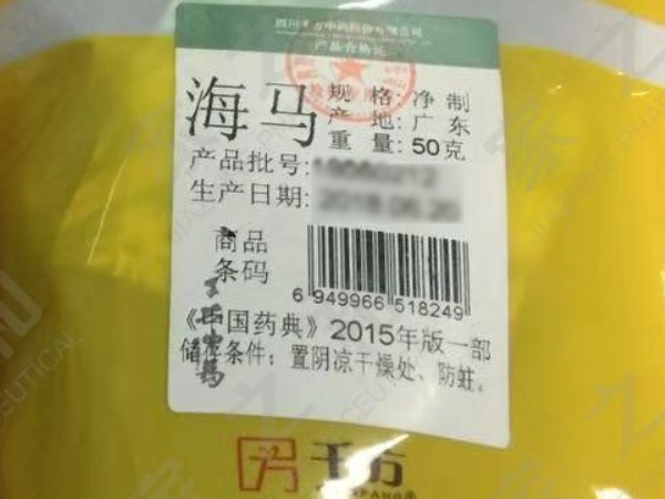 海马