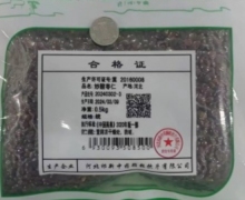 炒酸枣仁价格对比 0.5kg 祁新