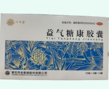 益气糖康胶囊价格对比 45粒*3盒 健民集团叶开泰