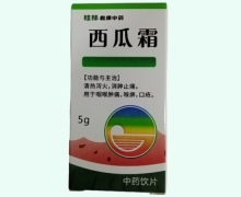 西瓜霜价格对比 5g 桂林鼎康中药