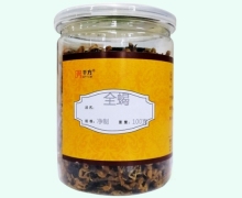 千方全蝎价格对比 100g
