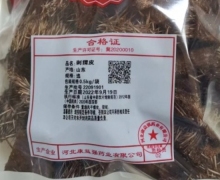 康益强刺猬皮价格对比 产地山东