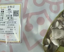 鹿角价格对比 0.5kg 钟聚祥瑞