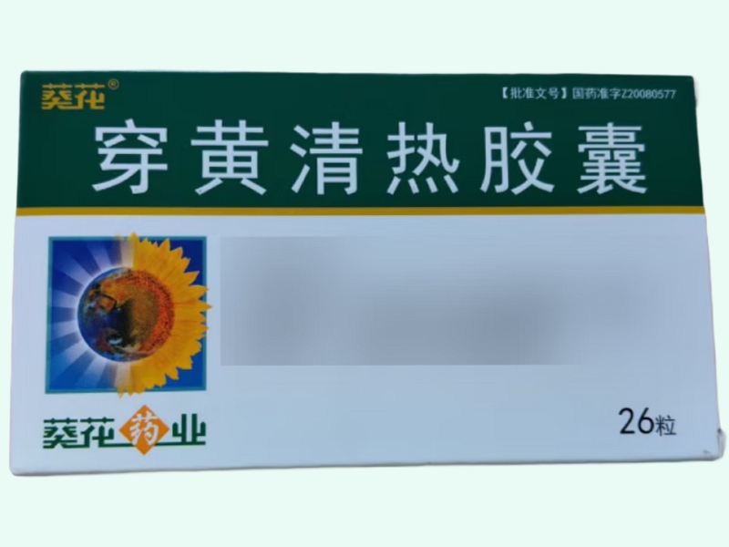穿黄清热胶囊