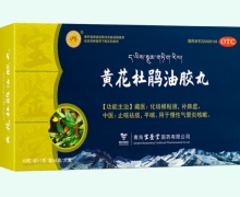 黄花杜鹃油胶丸价格对比 6盒 宝鉴堂国药