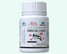 白云山生命岛锌硒维生素B6生物素片价格对比