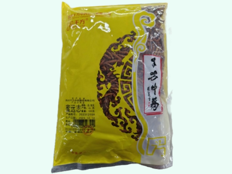 蜜远志