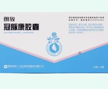 冠脉康胶囊 36粒 朗致