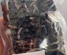 水蛭价格对比 0.1kg 致淳中药