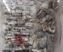 烫水蛭价格对比 0.1kg 致淳中药