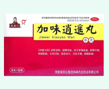 复盛公加味逍遥丸价格对比 8袋 丹龙