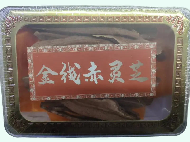 荟景金线赤灵芝