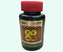 灵芝油凝胶糖果价格对比 仙养元