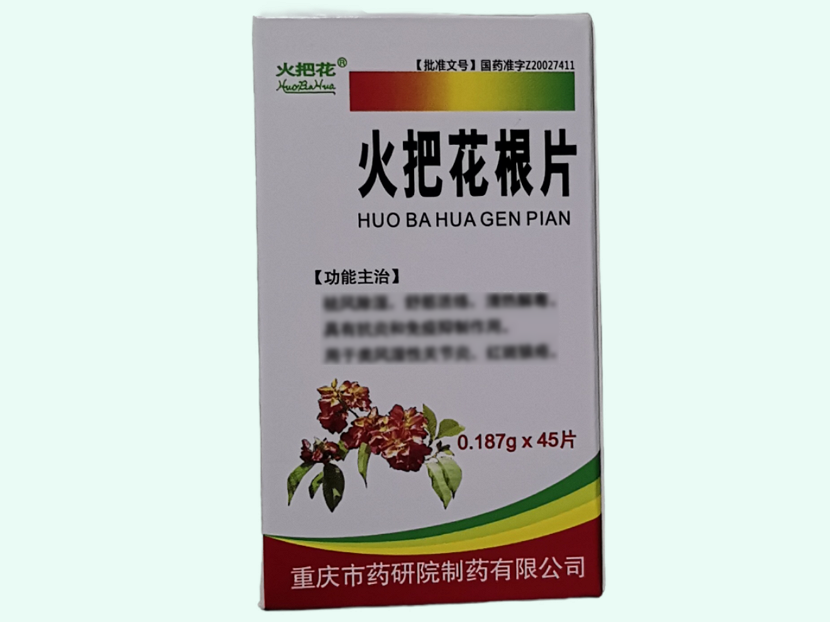 火把花根片