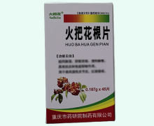 火把花根片价格对比 45片