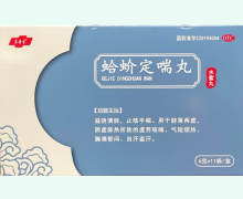 东医生蛤蚧定喘丸价格对比 11袋