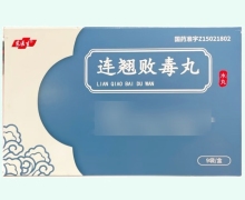 东医生连翘败毒丸价格对比 9袋