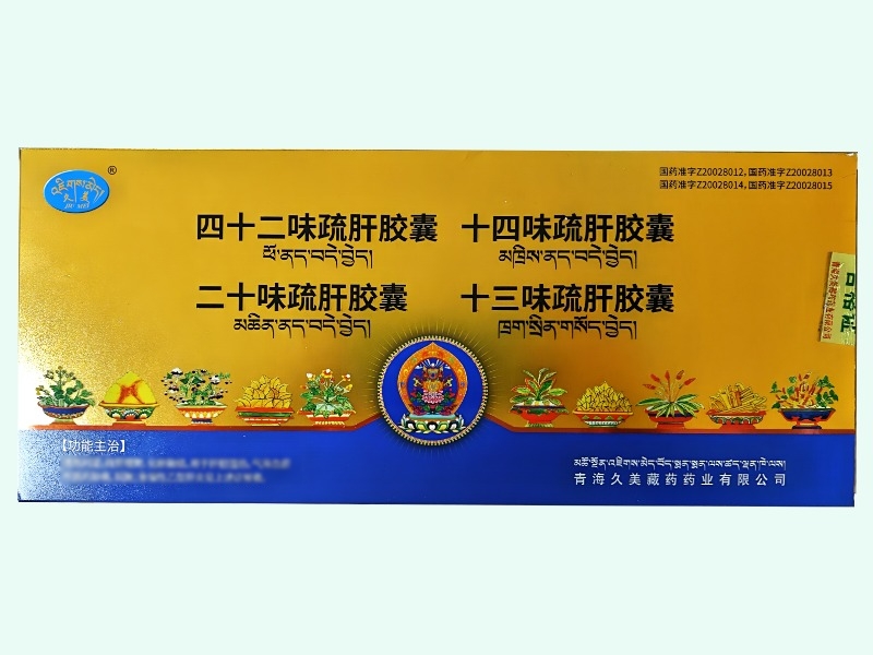十三味疏肝胶囊/十四味疏肝胶囊/二十味疏肝胶囊/四十二味疏肝胶囊