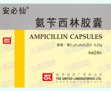 氨苄西林胶囊价格对比 0.25g*24粒 安必仙