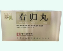 右归丸