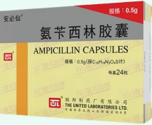安必仙氨苄西林胶囊价格对比 0.5g*24粒 联邦制药