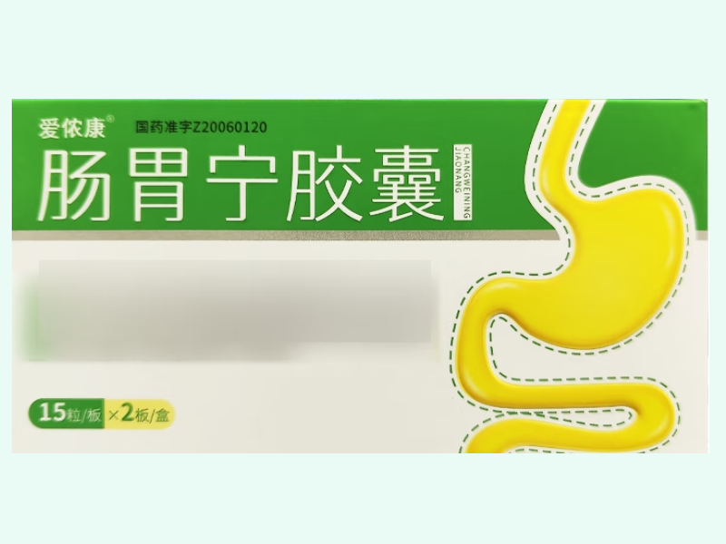 肠胃宁胶囊