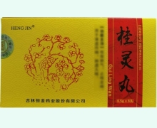 桂灵丸价格对比 恒金药业