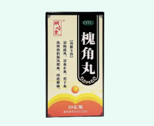 桐岭堂槐角丸价格对比 30g