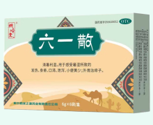 桐岭堂六一散价格对比