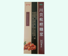 贵中堂川贝枇杷糖浆价格对比 225ml 康世缘