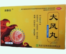 郭泰恒大风丸价格对比 6袋 华西制药