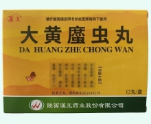 汉王大黄䗪虫丸价格对比 12丸