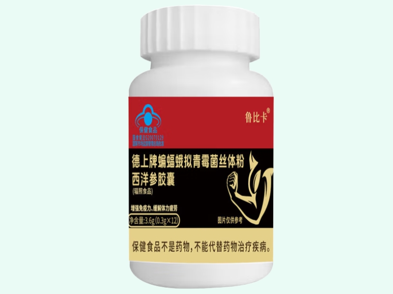 德上牌蝙蝠蛾拟青霉菌丝体粉西洋参胶囊