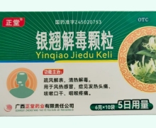 银翘解毒颗粒价格对比 正堂 6g*10袋
