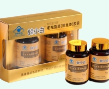 棘小白寿世宝元牌冬虫夏草(菌丝体)胶囊价格对比 2瓶