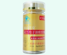 泰山芝皇灵芝孢子油软胶囊价格对比 芝素堂