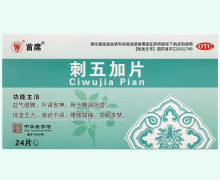 首席刺五加片价格对比 24片 鼎恒升