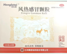 恒乐泰风热感冒颗粒价格对比 8袋
