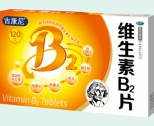 古康尼维生素B2片价格对比 120片