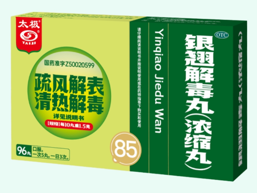 银翘解毒丸(浓缩丸)