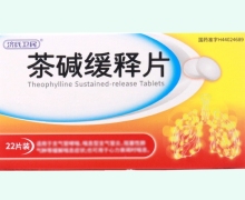 济氏卫民茶碱缓释片价格对比 22片