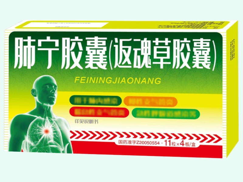 肺宁胶囊(返魂草胶囊)