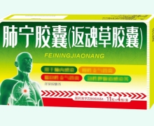 肺宁胶囊(返魂草胶囊)价格对比 44粒 银诺克