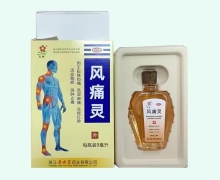 风痛灵价格对比 9ml 浙江景岳堂药业