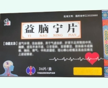 修正益脑宁片价格对比 36片